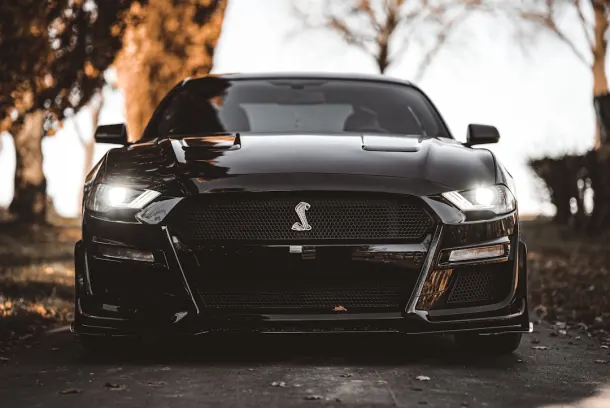 Luckland Casino Android/iOS App